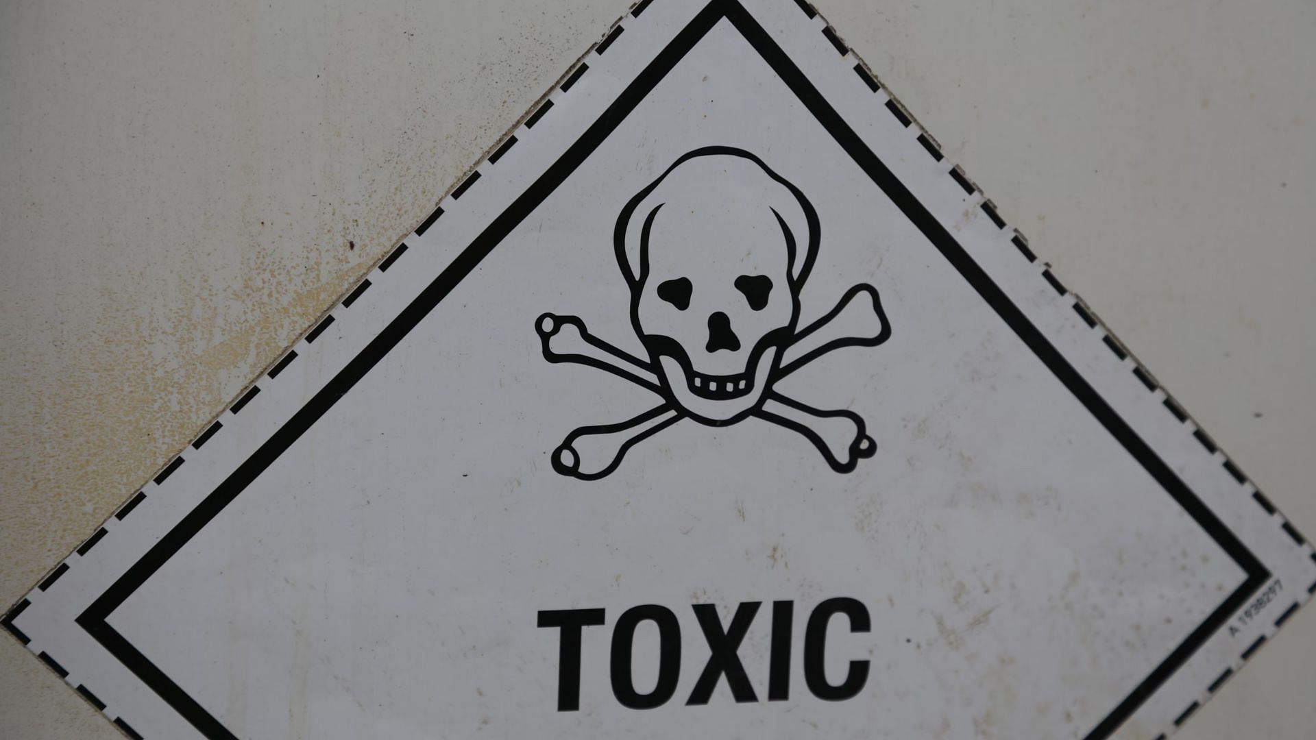 Toxic culture led to people leaving the company (Image via Unsplah/@Bernd Dittrich)